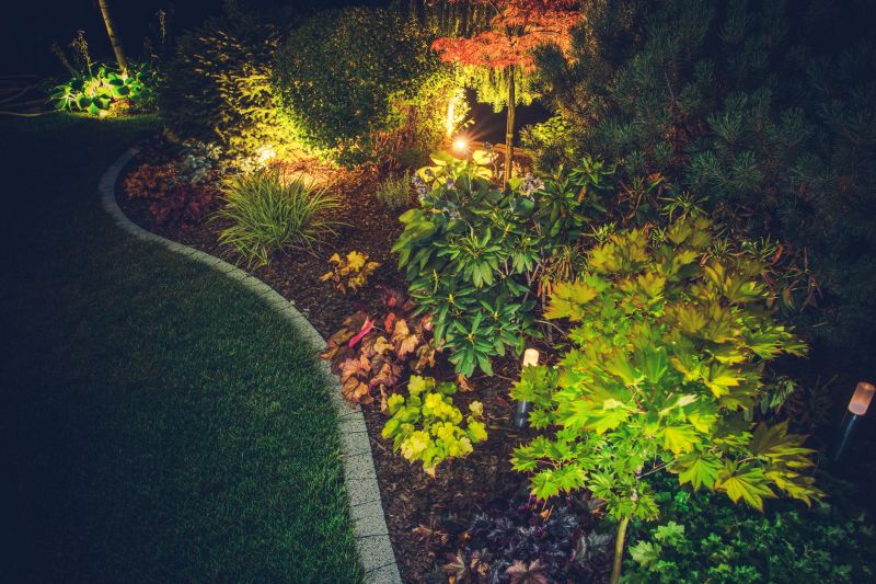 Tree and Landscape Uplighting